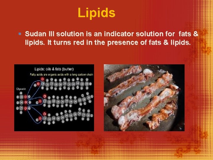 Lipids § Sudan III solution is an indicator solution for fats & lipids. It