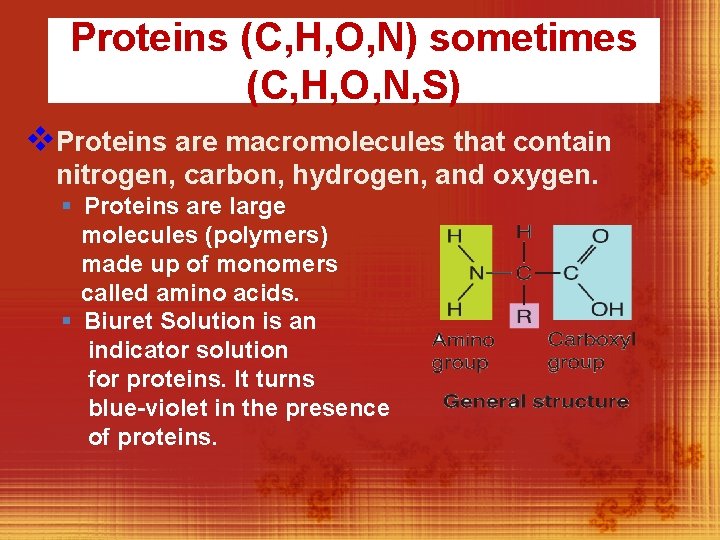 Proteins (C, H, O, N) sometimes (C, H, O, N, S) v. Proteins are