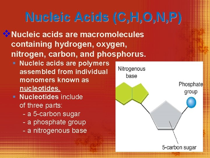 Nucleic Acids (C, H, O, N, P) v. Nucleic acids are macromolecules containing hydrogen,