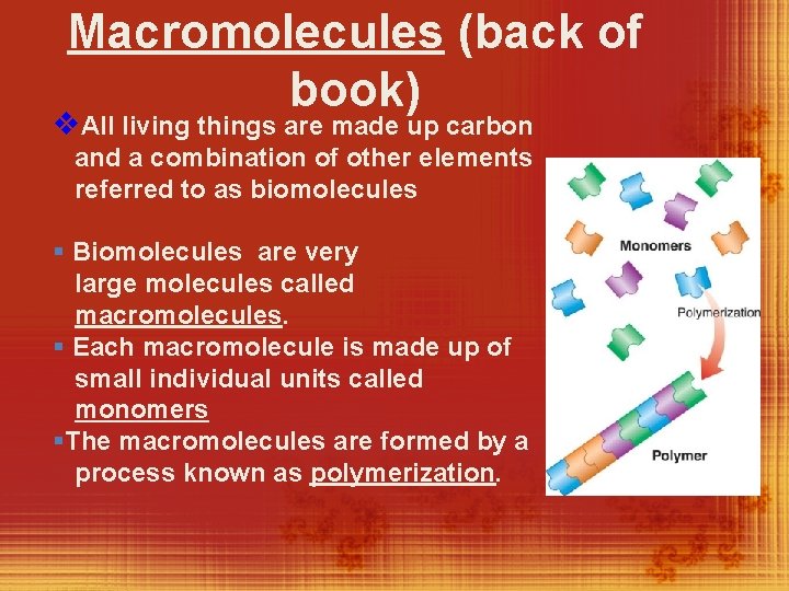 Macromolecules (back of book) v. All living things are made up carbon and a