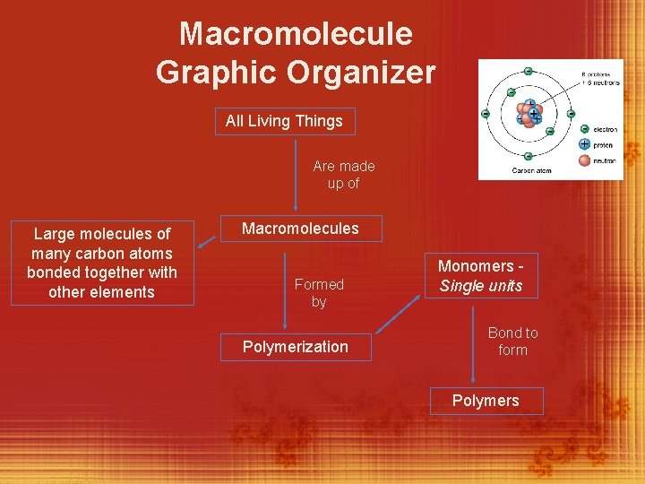 Macromolecule Graphic Organizer All Living Things Are made up of Large molecules of many