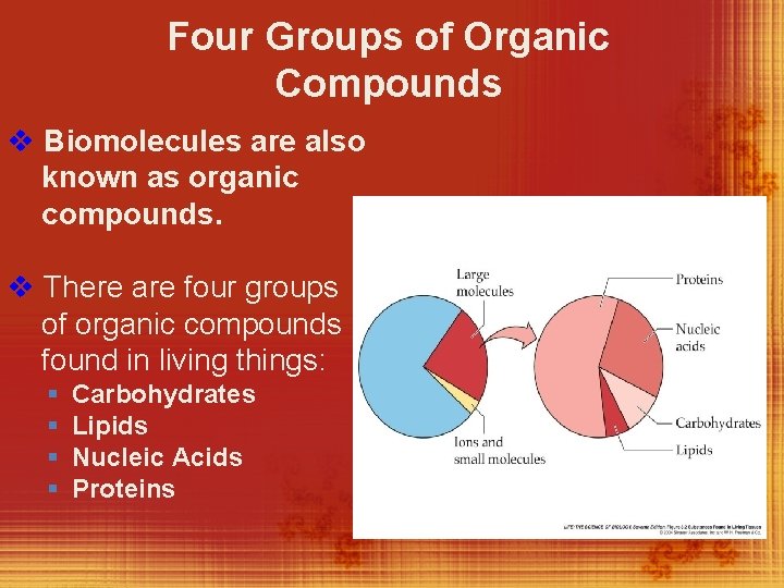 Four Groups of Organic Compounds v Biomolecules are also known as organic compounds. v
