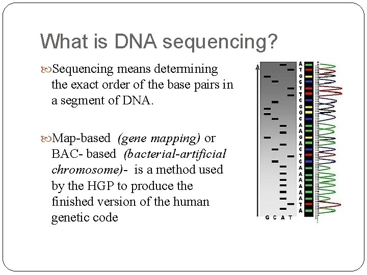 What is DNA sequencing? Sequencing means determining the exact order of the base pairs