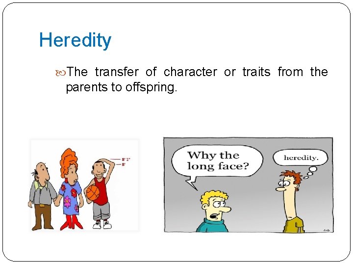 Heredity The transfer of character or traits from the parents to offspring. 