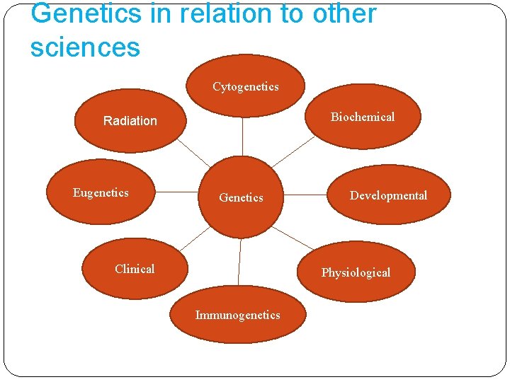 Genetics in relation to other sciences Cytogenetics Biochemical Radiation Eugenetics Genetics Clinical Developmental Physiological