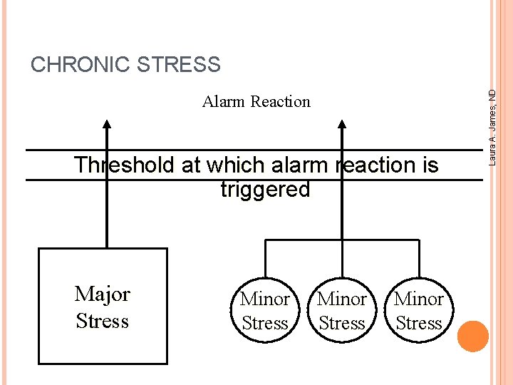 Alarm Reaction Threshold at which alarm reaction is triggered Major Stress Minor Stress Laura