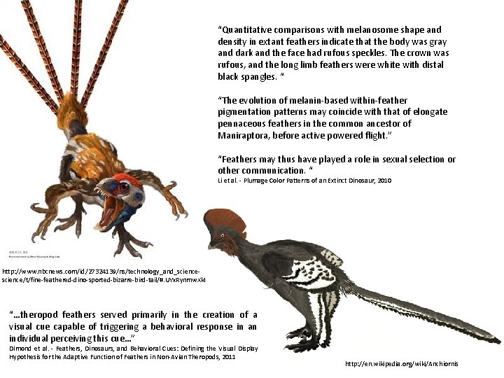 “Quantitative comparisons with melanosome shape and density in extant feathers indicate that the body