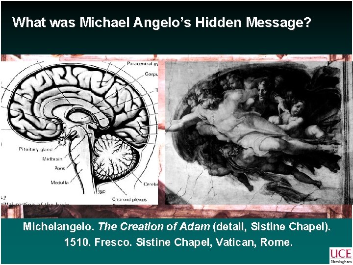 What was Michael Angelo’s Hidden Message? Michelangelo. The Creation of Adam (detail, Sistine Chapel).