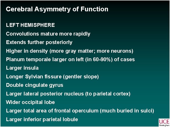 Cerebral Asymmetry of Function LEFT HEMISPHERE Convolutions mature more rapidly Extends further posteriorly Higher