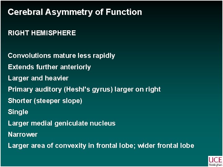 Cerebral Asymmetry of Function RIGHT HEMISPHERE Convolutions mature less rapidly Extends further anteriorly Larger