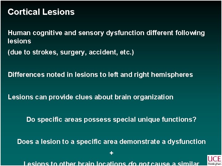 Cortical Lesions Human cognitive and sensory dysfunction different following lesions (due to strokes, surgery,