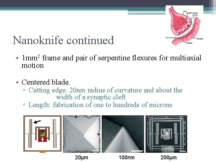 Nanoknife continued • 1 mm 2 frame and pair of serpentine flexures for multiaxial