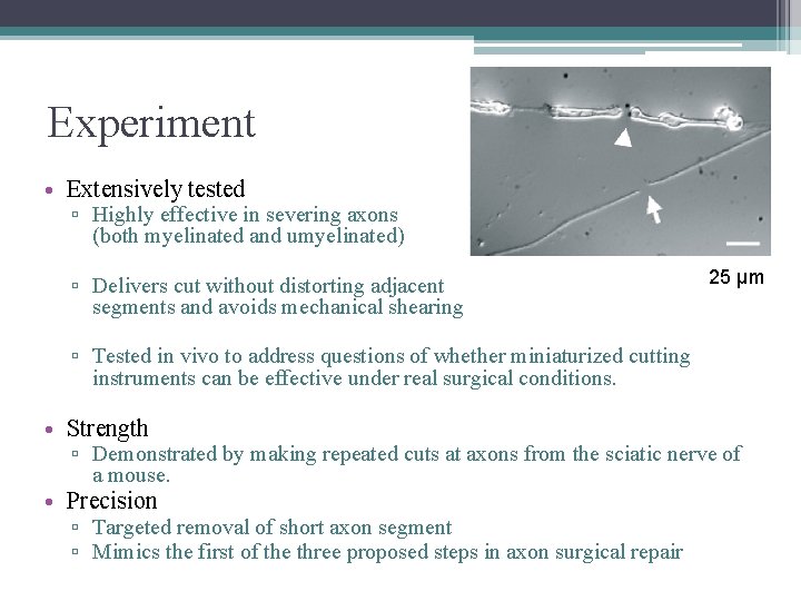 Experiment • Extensively tested ▫ Highly effective in severing axons (both myelinated and umyelinated)