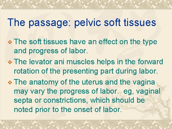 The passage: pelvic soft tissues v The soft tissues have an effect on the