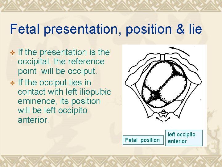 Fetal presentation, position & lie If the presentation is the occipital, the reference point