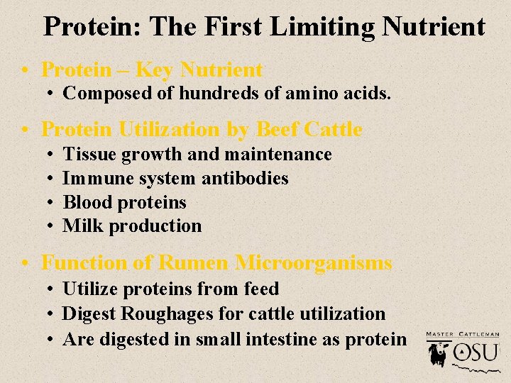 Protein: The First Limiting Nutrient • Protein – Key Nutrient • Composed of hundreds