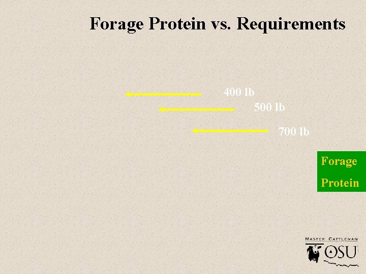 Forage Protein vs. Requirements 400 lb 500 lb 700 lb Forage Protein 