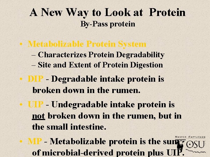 A New Way to Look at Protein By-Pass protein • Metabolizable Protein System –