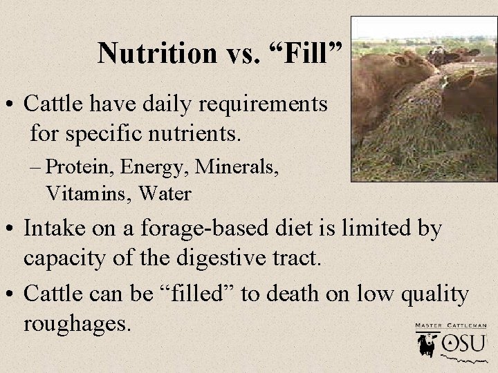 Nutrition vs. “Fill” • Cattle have daily requirements for specific nutrients. – Protein, Energy,