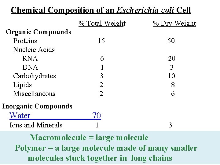 Chemical Composition of an Escherichia coli Cell % Total Weight Organic Compounds Proteins Nucleic