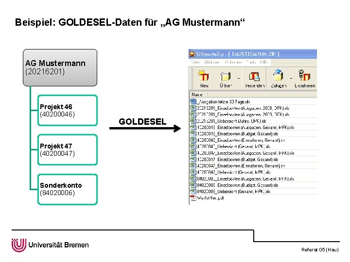 Beispiel: GOLDESEL-Daten für „AG Mustermann“ AG Mustermann (20216201) Projekt 46 (40200046) GOLDESEL Projekt 47