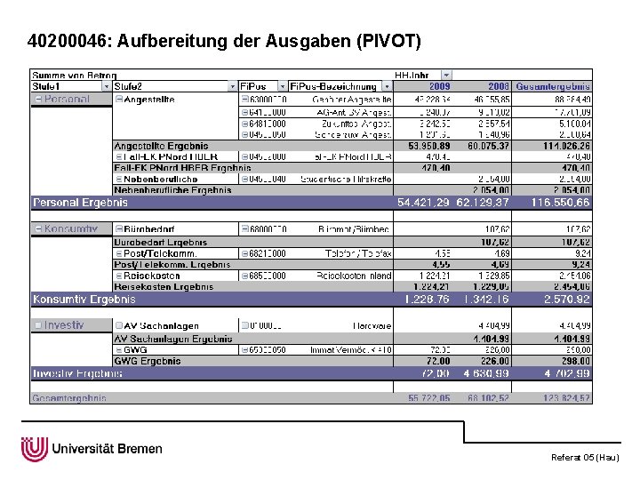 40200046: Aufbereitung der Ausgaben (PIVOT) Referat 05 (Hau) 