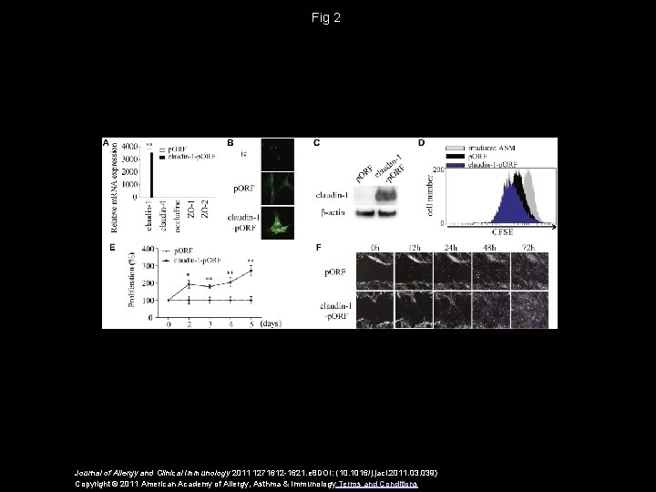 Fig 2 Journal of Allergy and Clinical Immunology 2011 1271612 -1621. e 8 DOI: