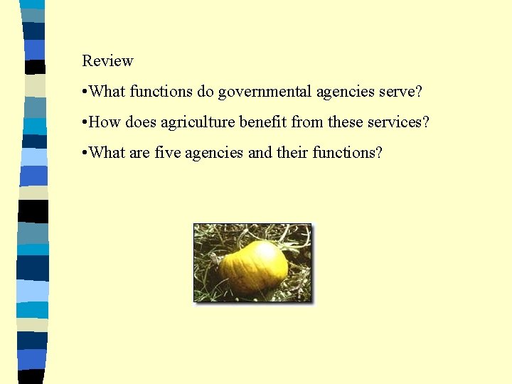 Review • What functions do governmental agencies serve? • How does agriculture benefit from