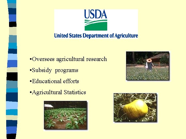  • Oversees agricultural research • Subsidy programs • Educational efforts • Agricultural Statistics