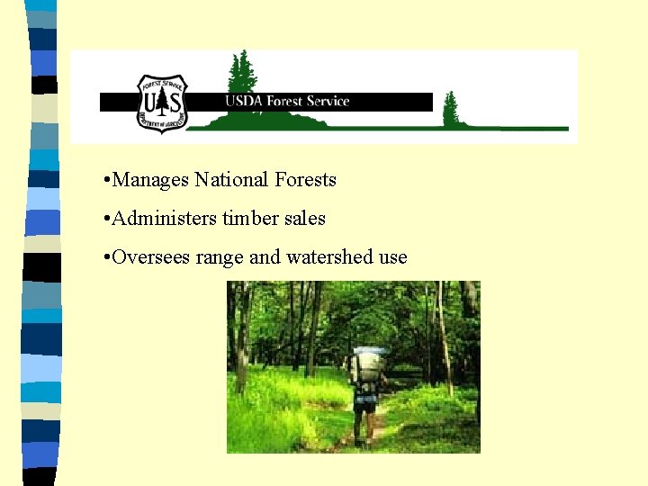  • Manages National Forests • Administers timber sales • Oversees range and watershed