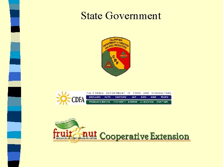 State Government 