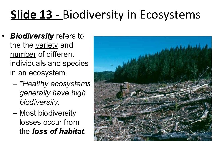 Slide 13 - Biodiversity in Ecosystems • Biodiversity refers to the variety and number