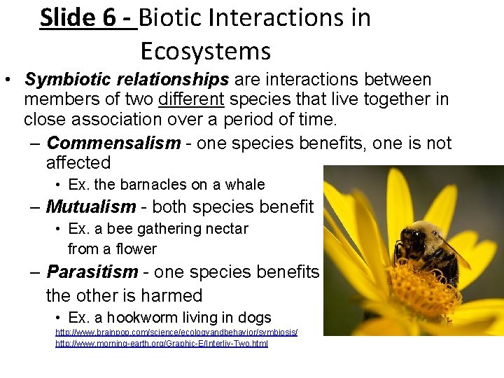 Slide 6 - Biotic Interactions in Ecosystems • Symbiotic relationships are interactions between members