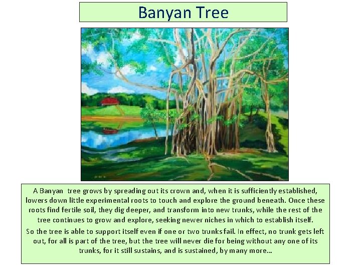 Banyan Tree A Banyan tree grows by spreading out its crown and, when it