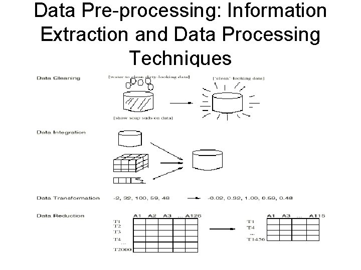 Data Pre-processing: Information Extraction and Data Processing Techniques 