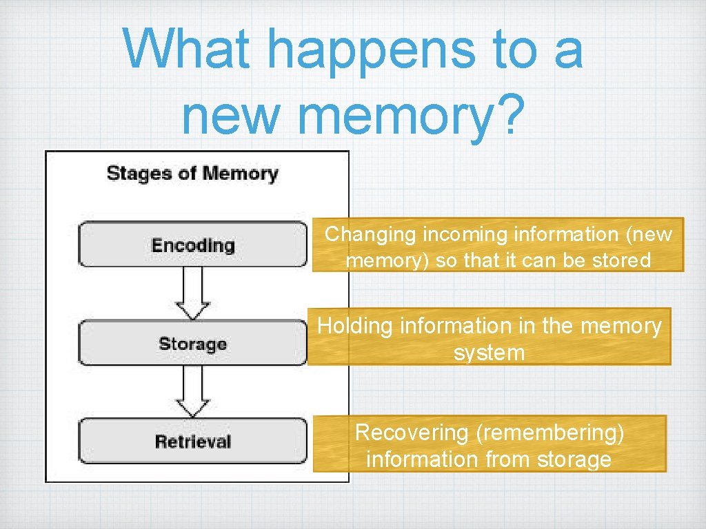 What happens to a new memory? Changing incoming information (new memory) so that it