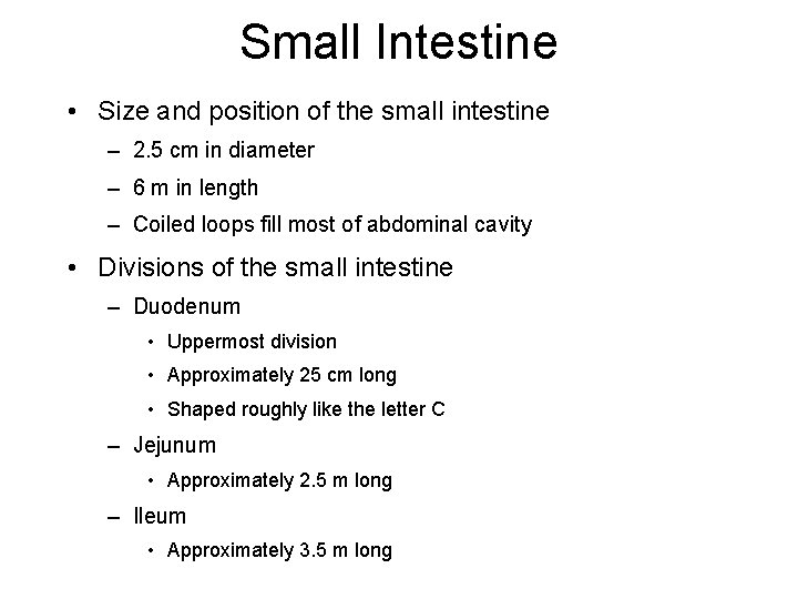 Small Intestine • Size and position of the small intestine – 2. 5 cm