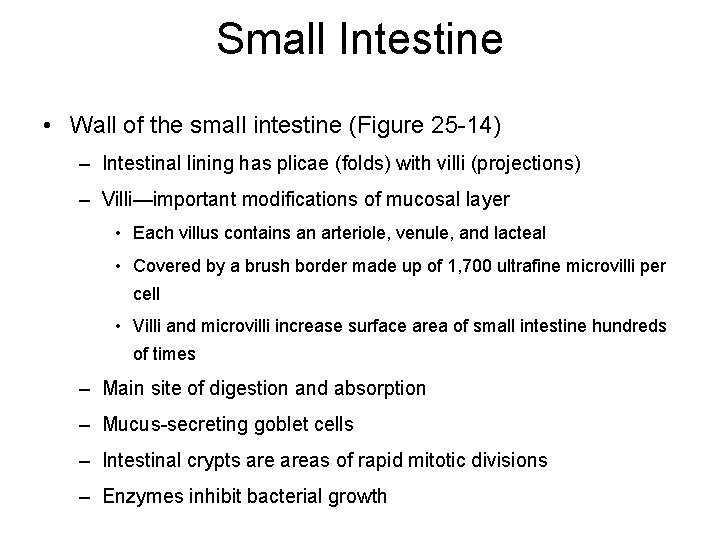 Small Intestine • Wall of the small intestine (Figure 25 -14) – Intestinal lining