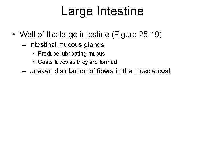 Large Intestine • Wall of the large intestine (Figure 25 -19) – Intestinal mucous