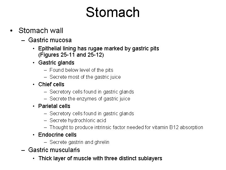 Stomach • Stomach wall – Gastric mucosa • Epithelial lining has rugae marked by