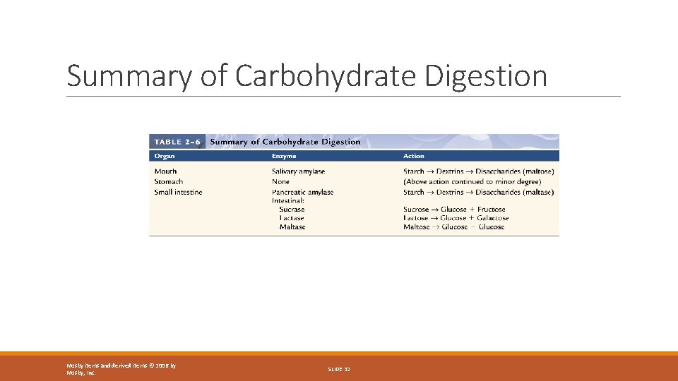 Summary of Carbohydrate Digestion Mosby items and derived items © 2006 by Mosby, Inc.