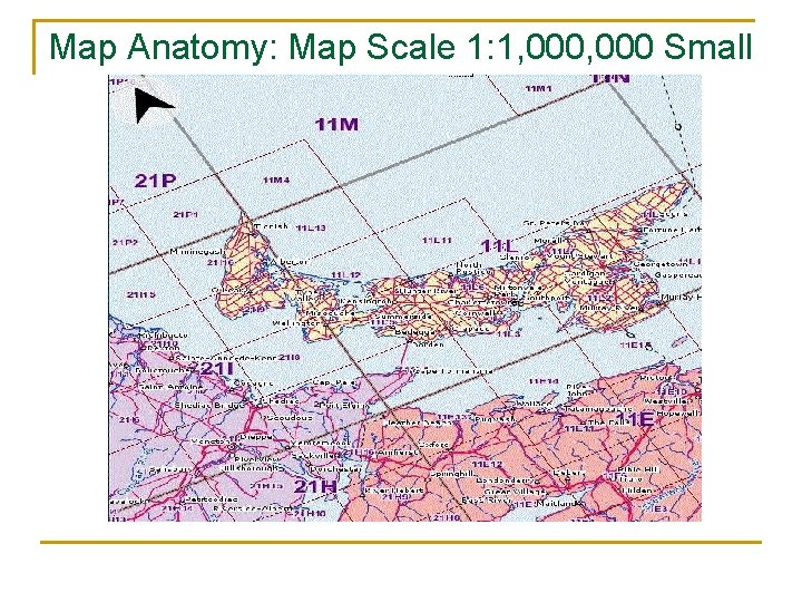 Map Anatomy: Map Scale 1: 1, 000 Small Scale smaller than before 