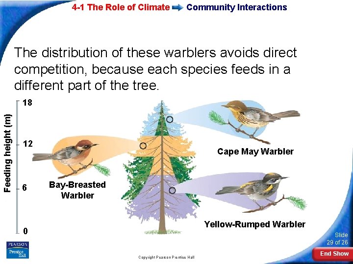 4 -1 The Role of Climate Community Interactions The distribution of these warblers avoids