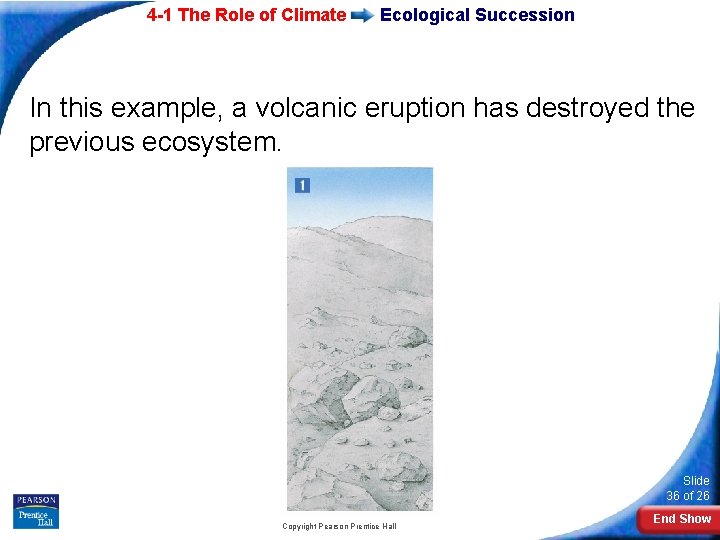 4 -1 The Role of Climate Ecological Succession In this example, a volcanic eruption