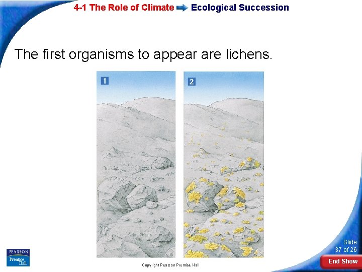 4 -1 The Role of Climate Ecological Succession The first organisms to appear are