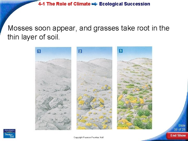 4 -1 The Role of Climate Ecological Succession Mosses soon appear, and grasses take