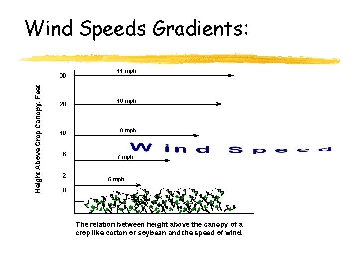 Wind Speeds Gradients: Height Above Crop Canopy, Feet 30 20 10 6 2 11