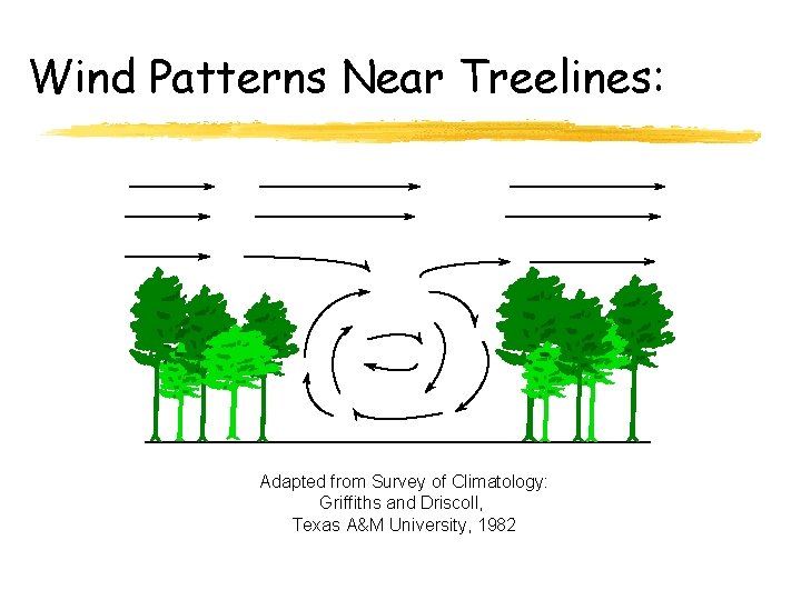 Wind Patterns Near Treelines: Adapted from Survey of Climatology: Griffiths and Driscoll, Texas A&M