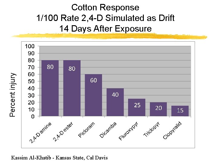 Percent injury Cotton Response 1/100 Rate 2, 4 -D Simulated as Drift 14 Days