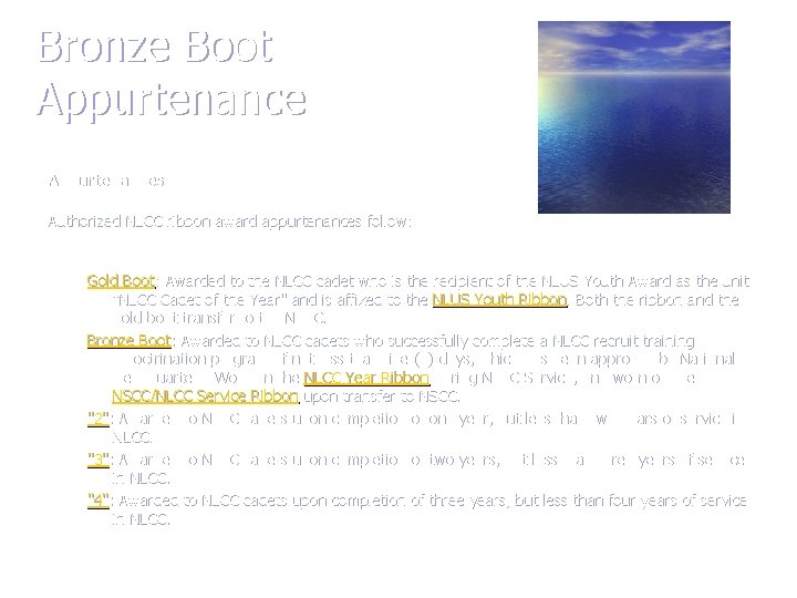 Bronze Boot Appurtenances Authorized NLCC ribbon award appurtenances follow: Gold Boot: Awarded to the